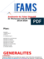 Anatomie Du Tube Digestif