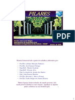 Pilares - Prof. Melges PDF