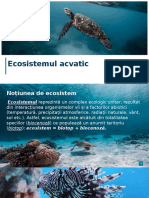 Ecosistemul Acvatic