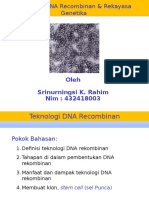 Teknologi DNA Rekombinan & Rekayasa Genetika