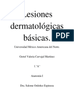 Lesiones Dermatológicas Básicas, Anatomía I Gretel V. Carvajal PDF