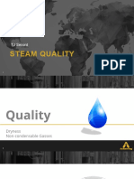 06 - Steam Quality.pdf