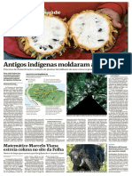 FOLHA - Antigos Indígenas Moldaram A Amazônia PDF