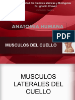 10.musculos del cuello 1.ppsx