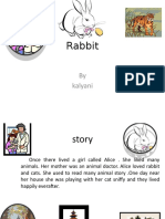 Rabbit