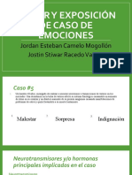 Taller y Exposición de Caso de Emociones