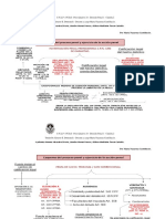 Esquema Del Proceso Penal y Acción Penal PDF