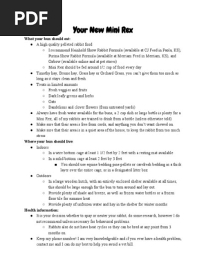 mini rex pet rabbit care guide