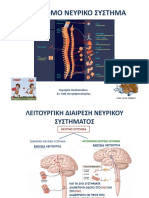 αυτονομο νευρικο συστημα