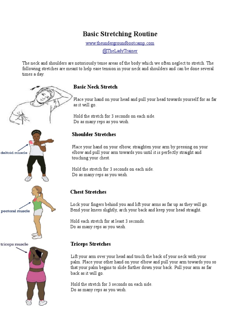 Basic Stretching Routine PDF | PDF | Hand | Musculoskeletal System