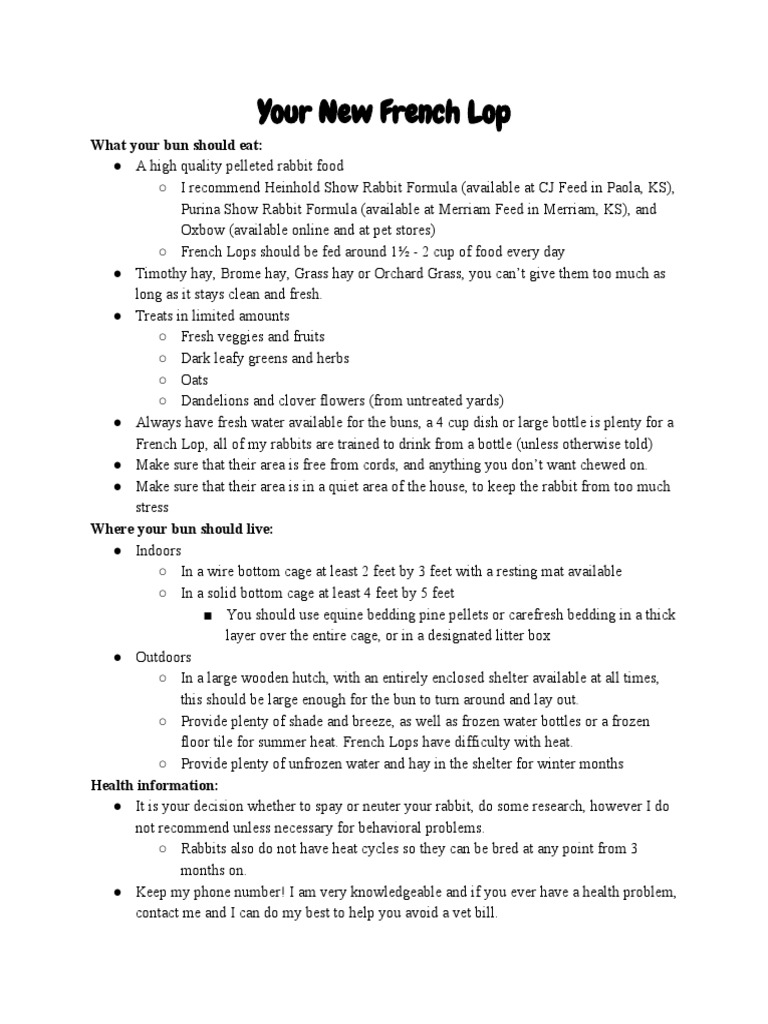 French Lop Pet Rabbit Care Guide PDF Animals And Humans Nature