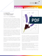 IMAGEN_COMENTADA_ROSANA.pdf