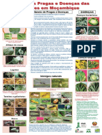 Principais Pragas e Doencas das Couves em Mocambique_poster.pdf