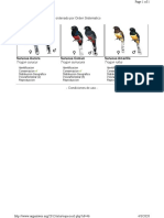 Familia Trogonidae