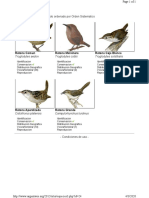 Familia Troglodytidae