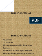 Enterobacterias 2361 100222195611 Phpapp02