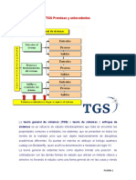 3 - TGS Premisas y Antecedentes