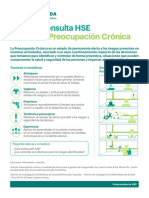 Guia HSE Concepto Preocupación Crónica PDF