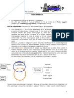 MICROBIOLOGIA 15-09-16 Fiebre Amarilla