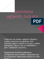 Biosinteza Ugljenih Hidrata