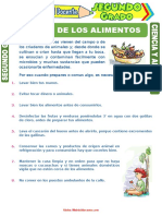 Higiene de Los Alimentos para Segundo Grado de Primaria