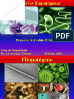 bacteriaspresentationclase-130226094915-phpapp01