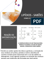 aulasabao.pdf