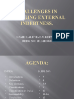Challenges in Managing External Indebtness