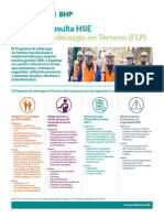 Guía HSE Programa Liderazgo Terreno (FLP) mejora gestión cambio cultural
