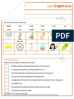 Short Stories The Lucky Seed Worksheet