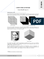 8_cubos_ilusionar.pdf