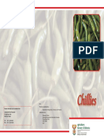 Brochurechillie PDF