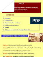 Temas 6 y 7. Ácidos nucleicos e información genética