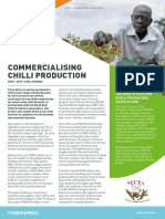 commercialising-chilli-production