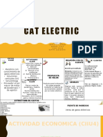 Estrategia de Marketing y Analisis de La Encuesta Cat Electric