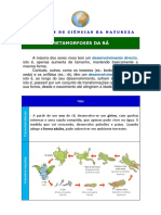 Metamorfoses Da Rã: Desenvolvimento Directo