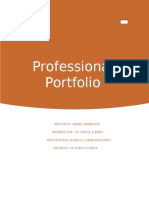 Professional Portfolio-2