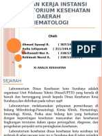 Seminar PPT Labkesda Hematologi