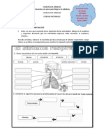 Ciencias 15 04 2020 2 Entrega