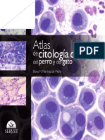Atlas de Citologia Clinica Del Perro y Del Gato - Martinez de Merlo, Elena M
