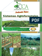 Presentación Sistemas Agroforestales