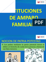 INSTITUCIONES DE AMPARO FAMILIAR.pptx