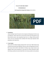Fito-remediasi Air dengan Ekor Kucing (Typha latifolia