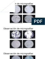 MicrografÃ_as para actividad 5 lab virtual (2)