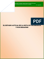 Estado Actual de La Soya en Nicaragua - PDF