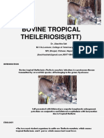 Bovine Tropical Theileriosis (BTT) - DR - Jibachha Sah