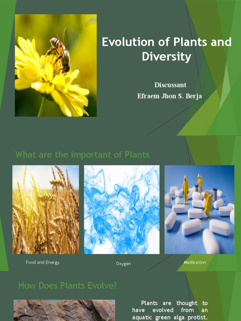 Evolution of Plants and Diversity - Systematic - Efraem Jhon Berja ...