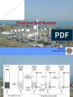 Fluidized Bed Reactor.pdf