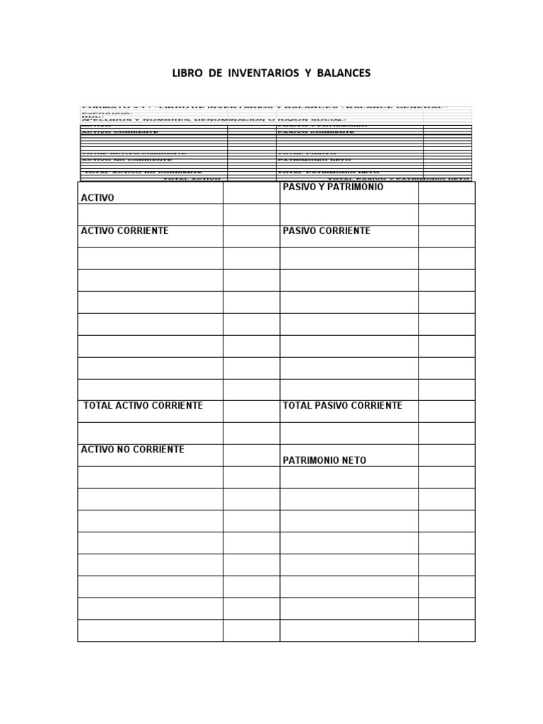 Formato de Libro de Inventarios y Balances | PDF | Corporaciones ...