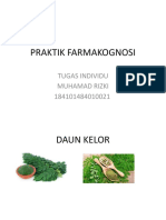 Farmakognosi Individu